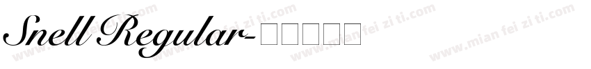 Snell Regular字体转换